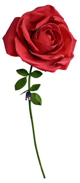 КСКСЛ огромна ружа - Руже на поклон жени